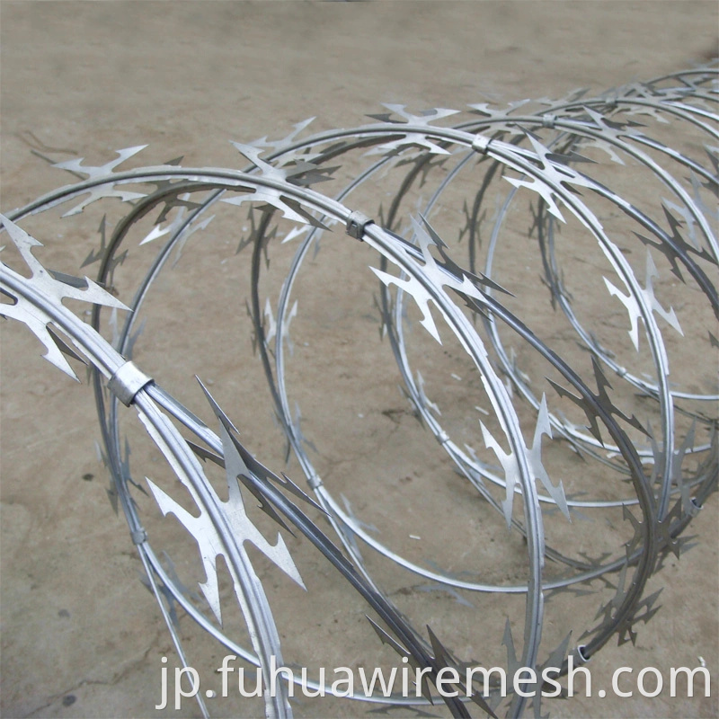 China Specialized Manufacturer Razor Barbed Tape Wire1